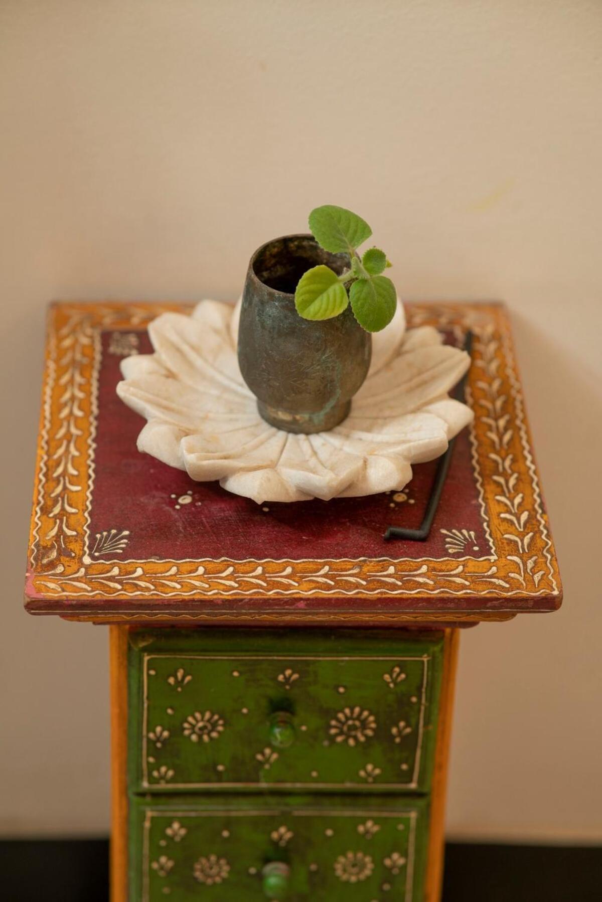 Santosh Villa - The House Of Antiques And Art Udajpur Zewnętrze zdjęcie